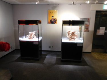大阪南部での彫物、写真展示会