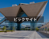 ビッグサイト